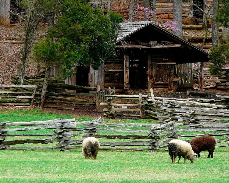 History Comes to Life at the Museum of Appalachia