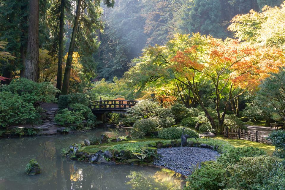 Cultivating Zen at the Portland Japanese Garden