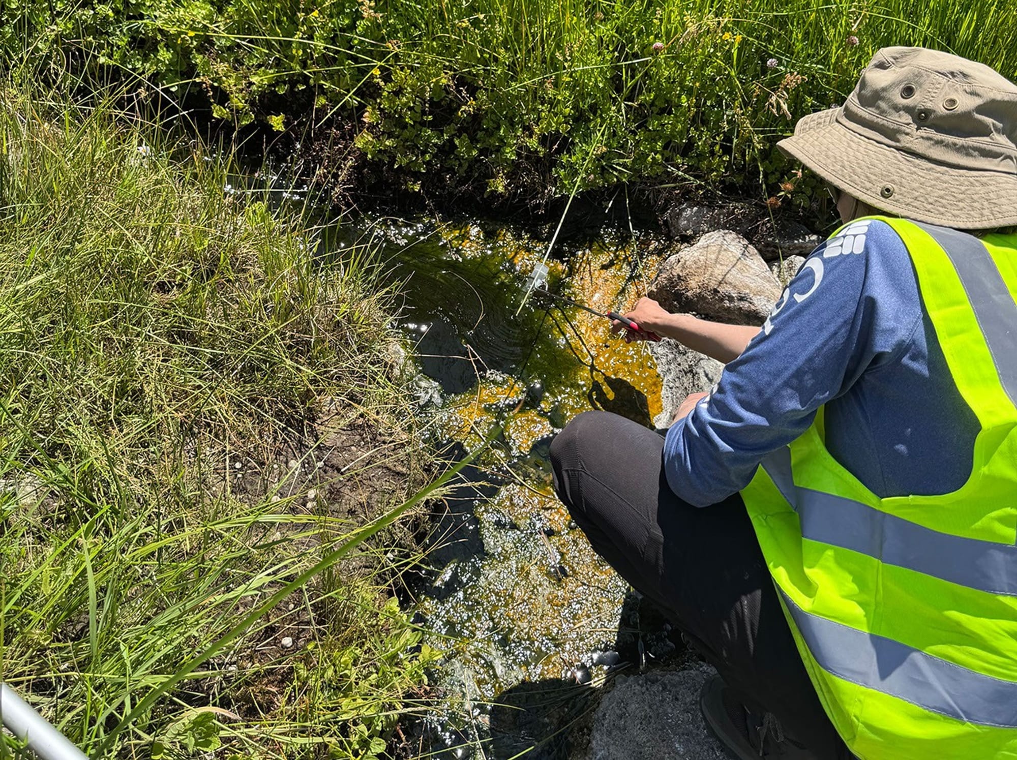 Scientist collects a sample from thermal water surrounded by grass.