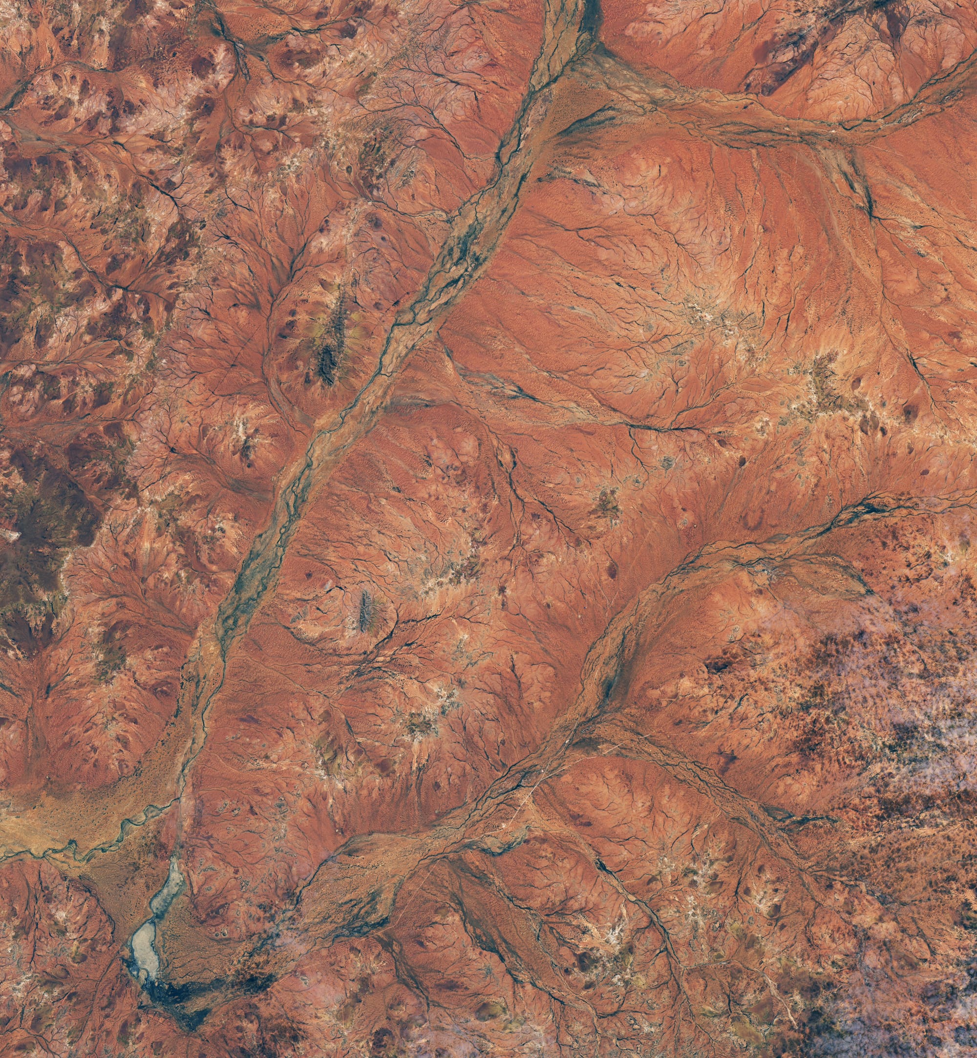 A Landsat 8 view shows drier rusty-orange terrain in Western Australia in August 2025.