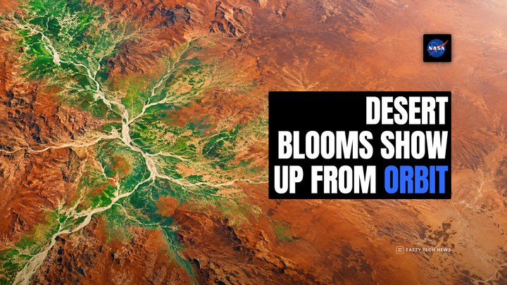 Editorial hero showing a satellite-data view of Western Australia and a headline about desert blooms.