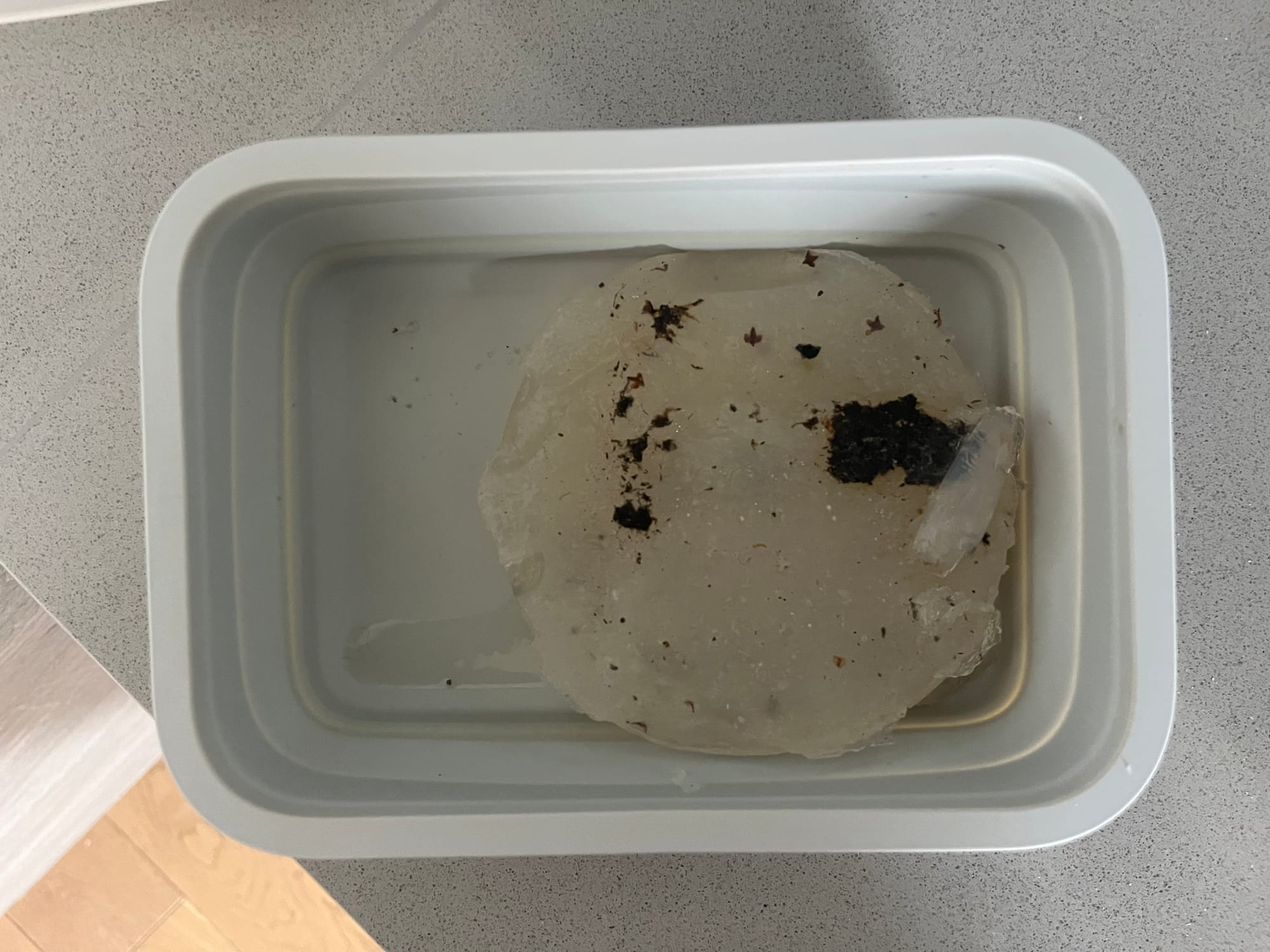 Underside of first sample showing debris stuck.