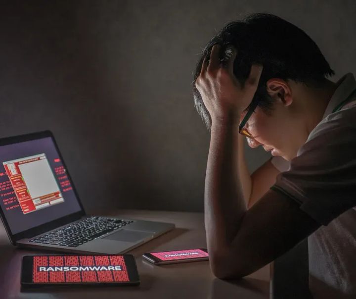 Ransomware Exposed: Unveiling Hidden Harms and Advocating Cybersecurity Resilience