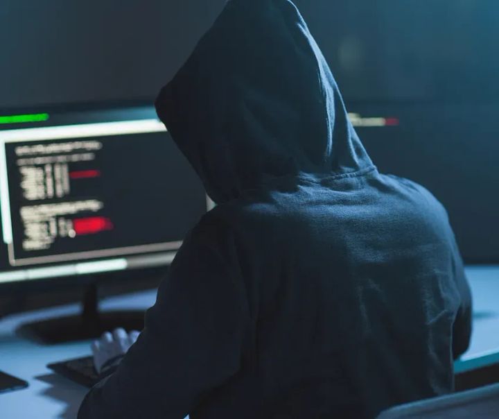 Unmasking Cyber-Kidnapping: Navigating the Landscape of Exploitation and Security Hype