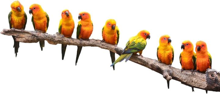 So, Your Data’s Been Breached. Now What?