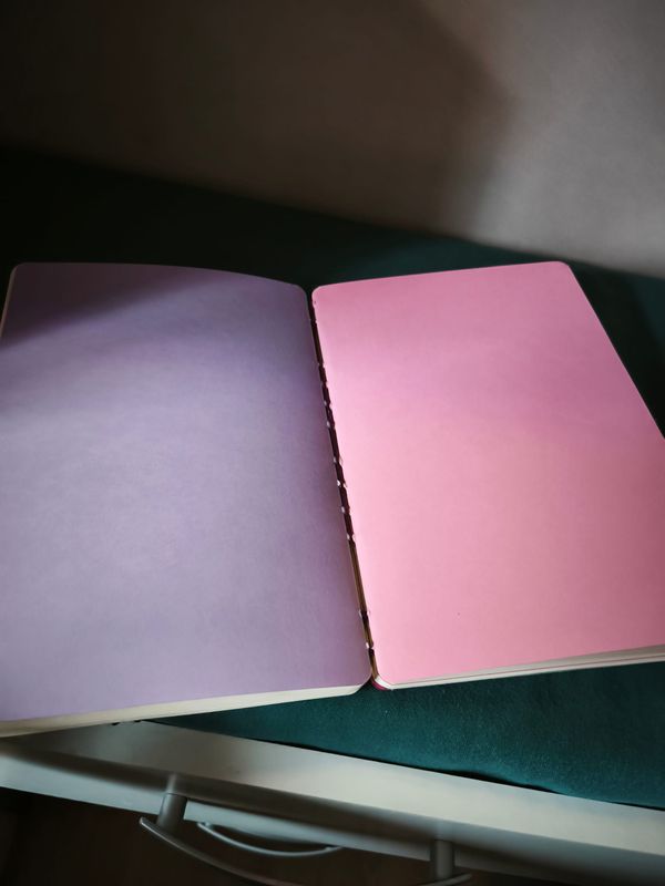 Nouveau carnet sur-mesure pour 2026