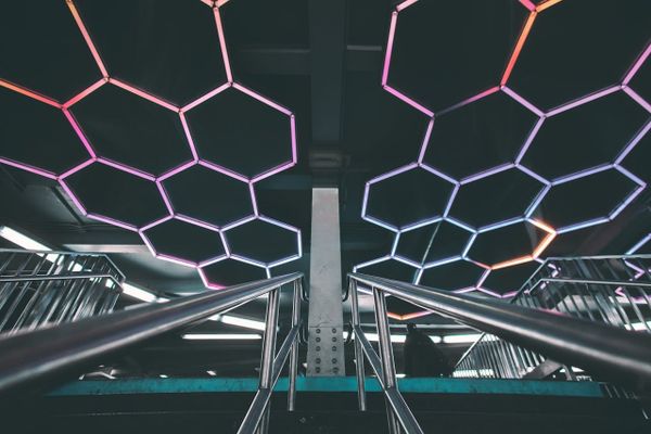 The Dependency Graph of Life