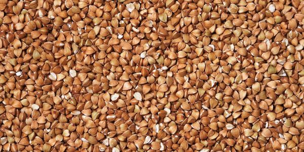 Fagopyritols and the sensitive gut