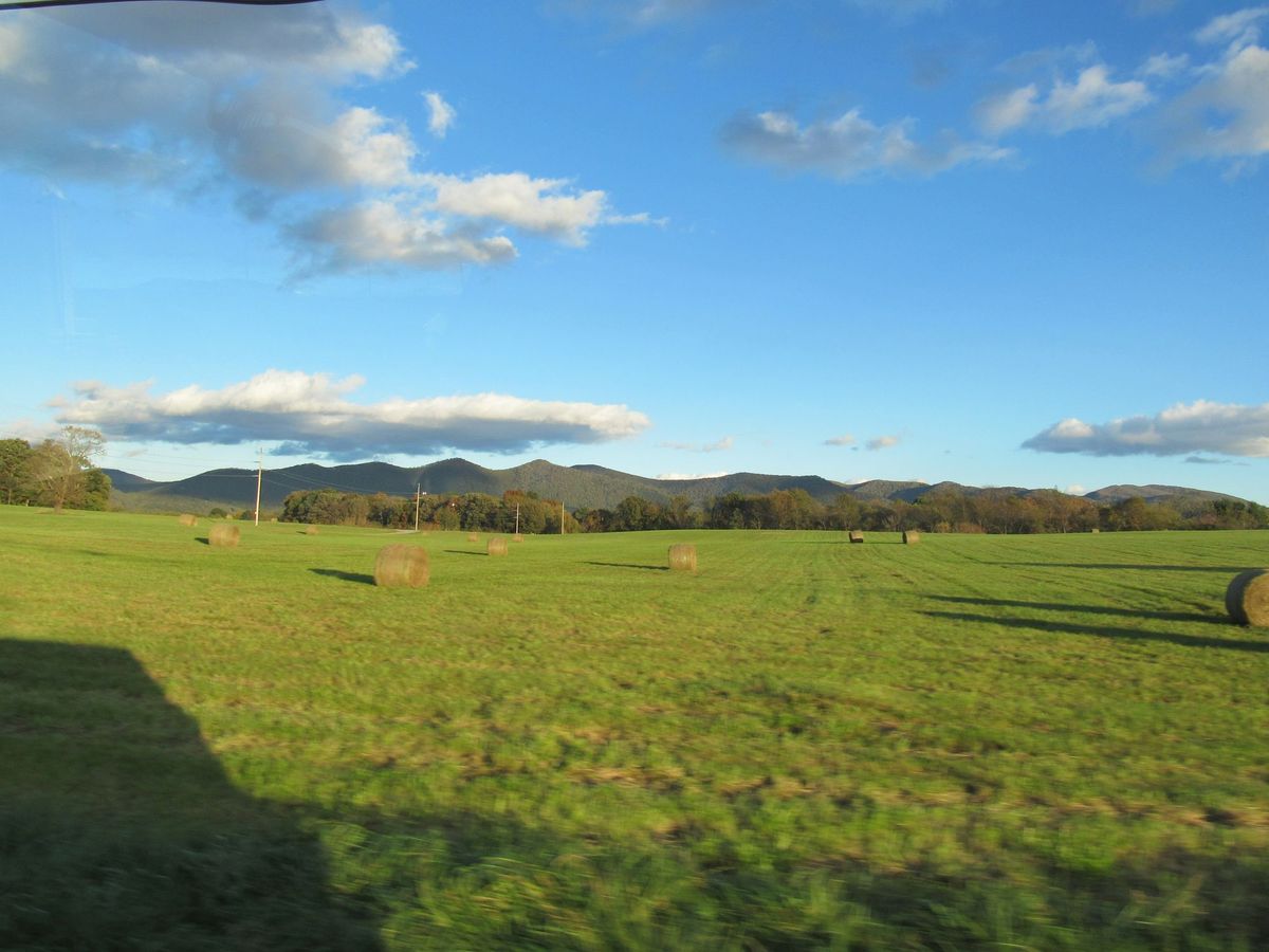 Legislators Act Against Chinese Farmland Purchases