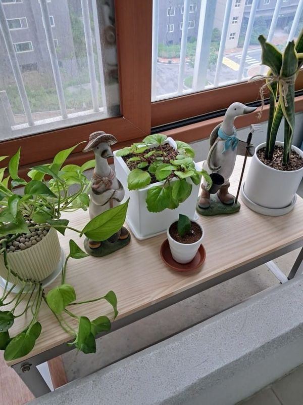 목재재단으로 완성한 나만의 DIY 테이블, 만족 그 이상!