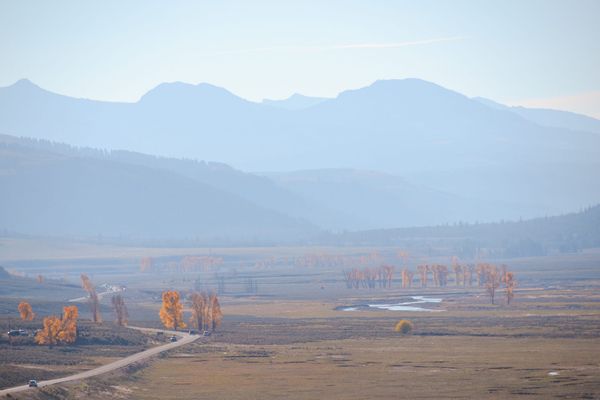 Yellowstone