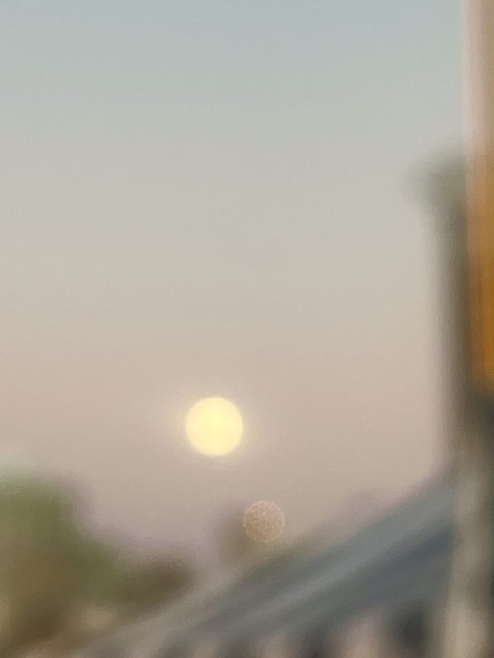 Becoming Whole