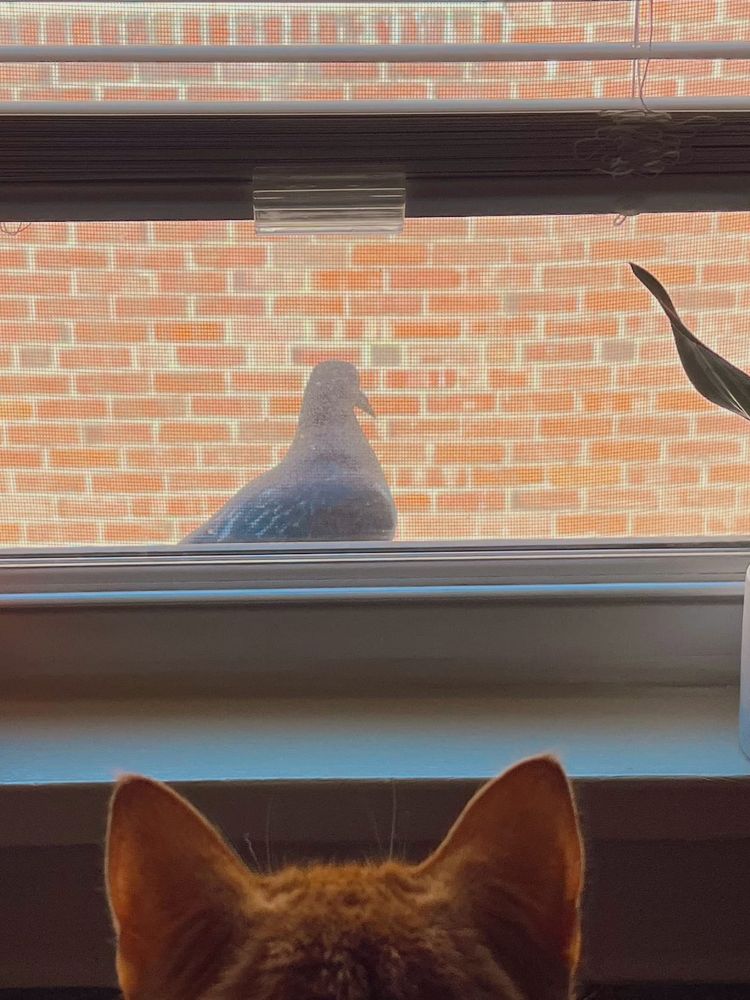 Get It Out Of Your System