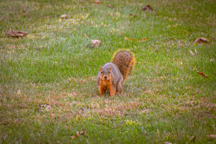 Life is Something Shared