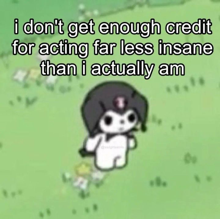 A cartoon meme of a little fluffy guy that says: "I don't get enough credit for acting far less insane than I actually am."