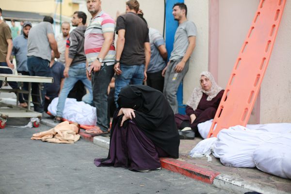 Are You A Government Or Political Staffer Concerned About Israel’s War On Gaza?