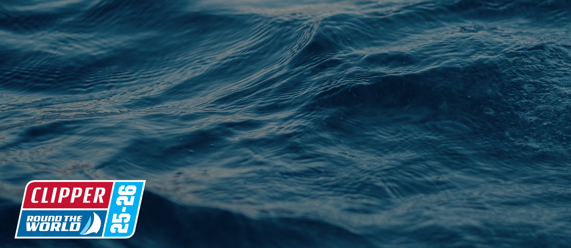 sealogue by tuur l eyck