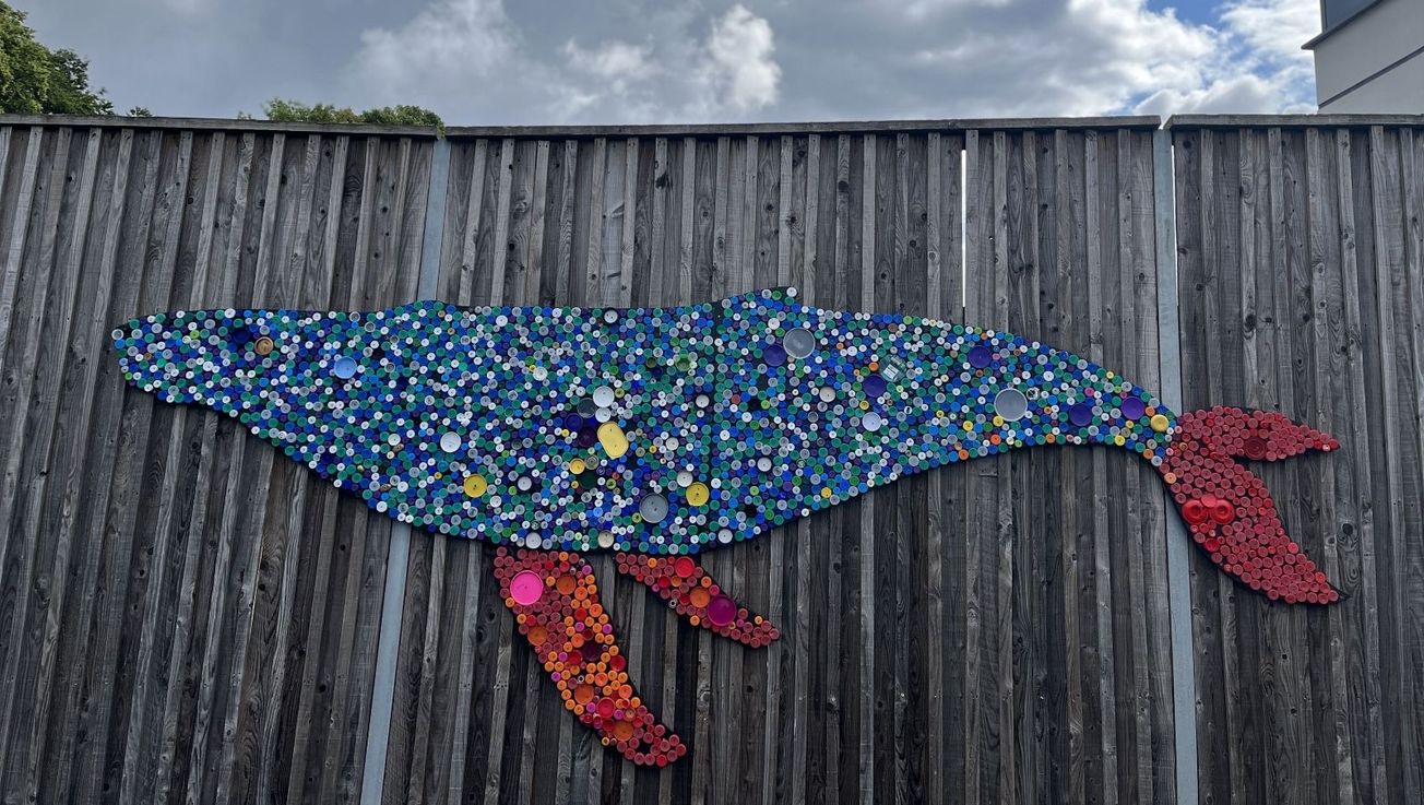 Loreto Grammar wins highest Eco-Schools Green Flag award