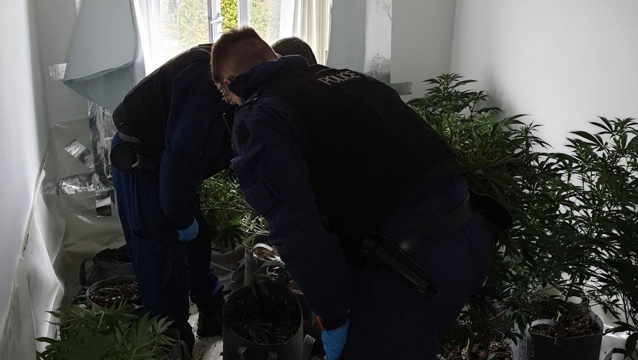 Two arrested after cannabis farm found at Hale property