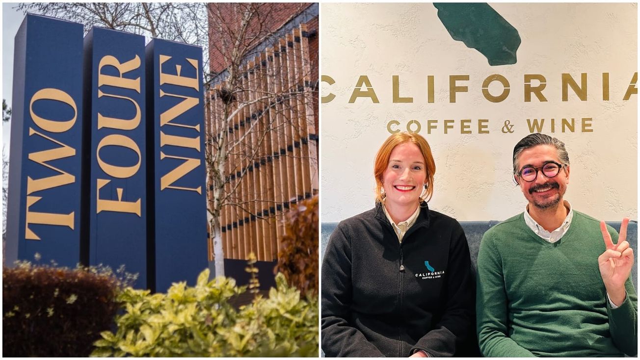 Welcome to the office reimagined - with a ray of Californian sunshine