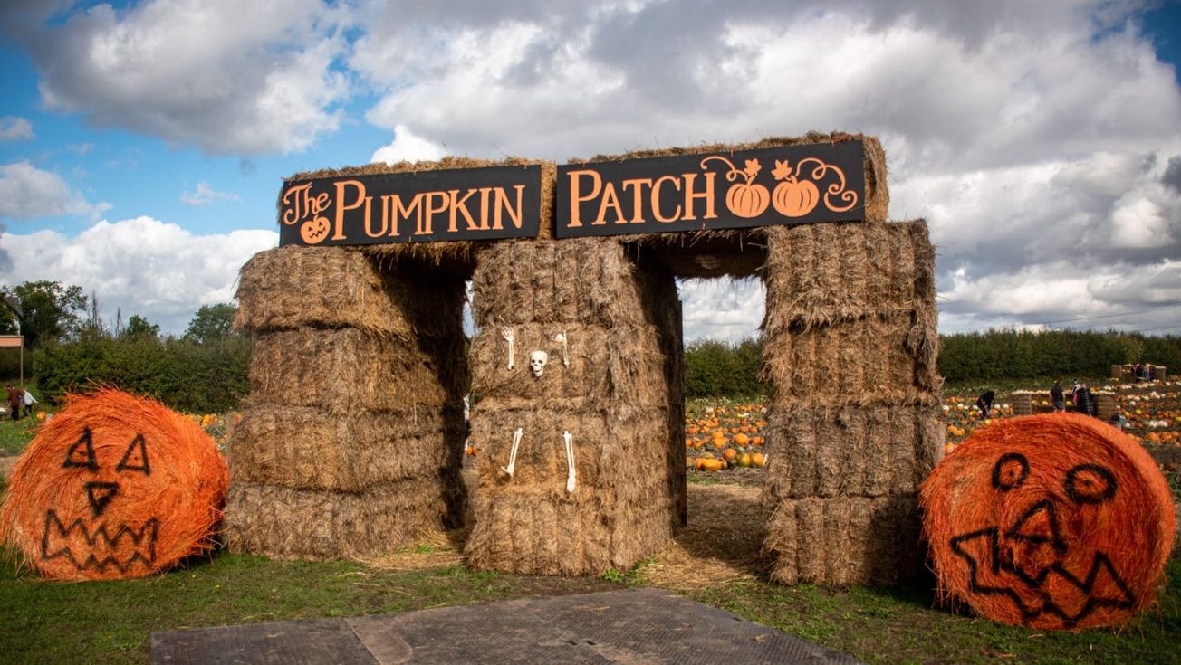 The Pumpkin Patch at Dunham Massey Farm Ice Cream is back - here's how to book your slot