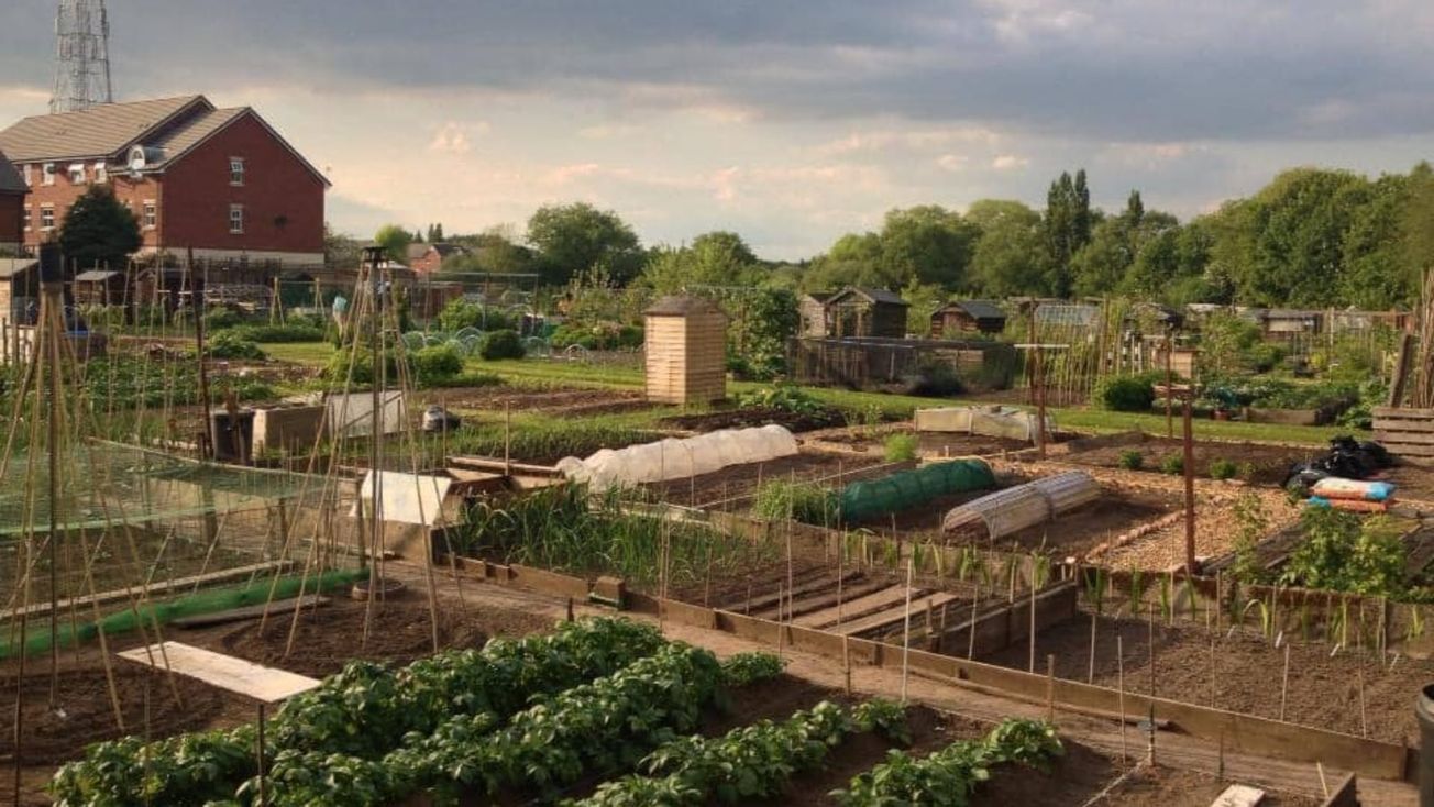 Consultation launched as council looks to increase allotment fees by over 33%