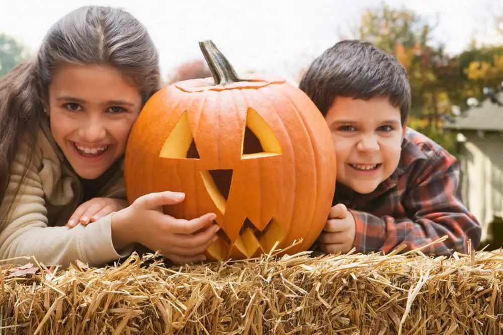 Family Five: SpookyWoo Spectacular, Antz in Your Pantz, Altrincham Kersal and more