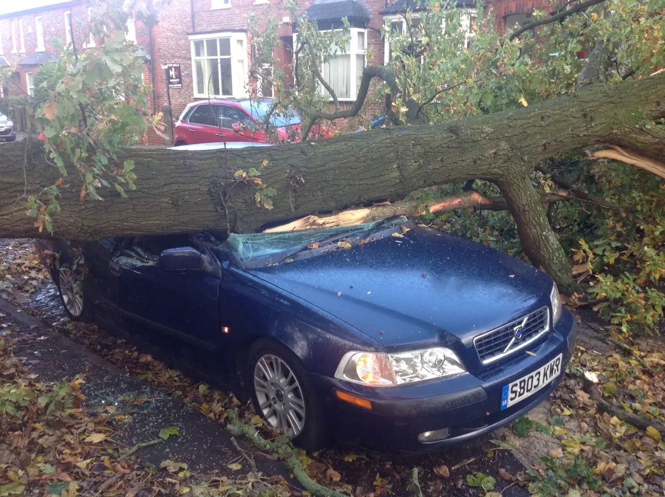 Pictures: Tree crushes car in Hale as Hurricane Gonzalo hits Altrincham