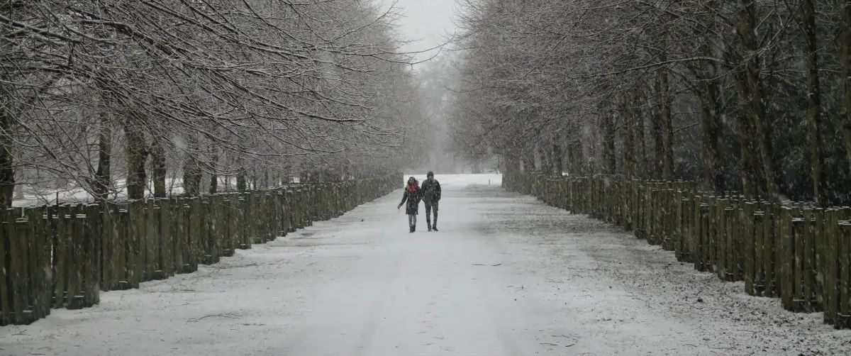 White Altrincham: 12 pictures of Dunham Massey in the snow