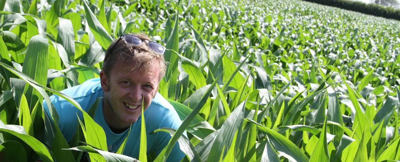 The Maize Maze at Red House Farm is back – and it really is one they made earlier