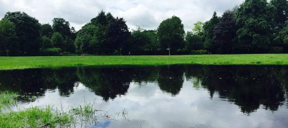 French Festival organisers call for Council action to save Altrincham’s “neglected” green spaces