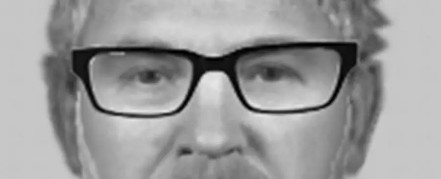 Police issue e-fit of man wanted over attempted abduction of girl on Hale Road