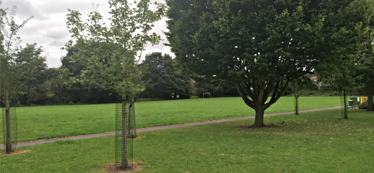 Residents invited to community picnic at Bowdon Recreation Ground