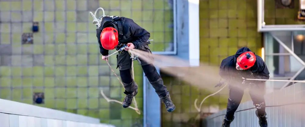 Hale business ranked as one of Europe’s fastest growing companies