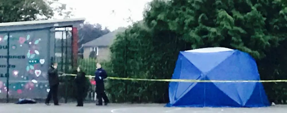 Three teenage boys charged in connection with Timperley park stabbing