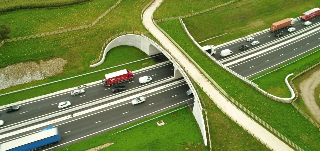 How the innovative A556 green bridge has bloomed just 10 months since completion