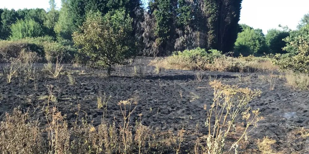 Firefighters battle football pitch-sized grassland blaze in Altrincham