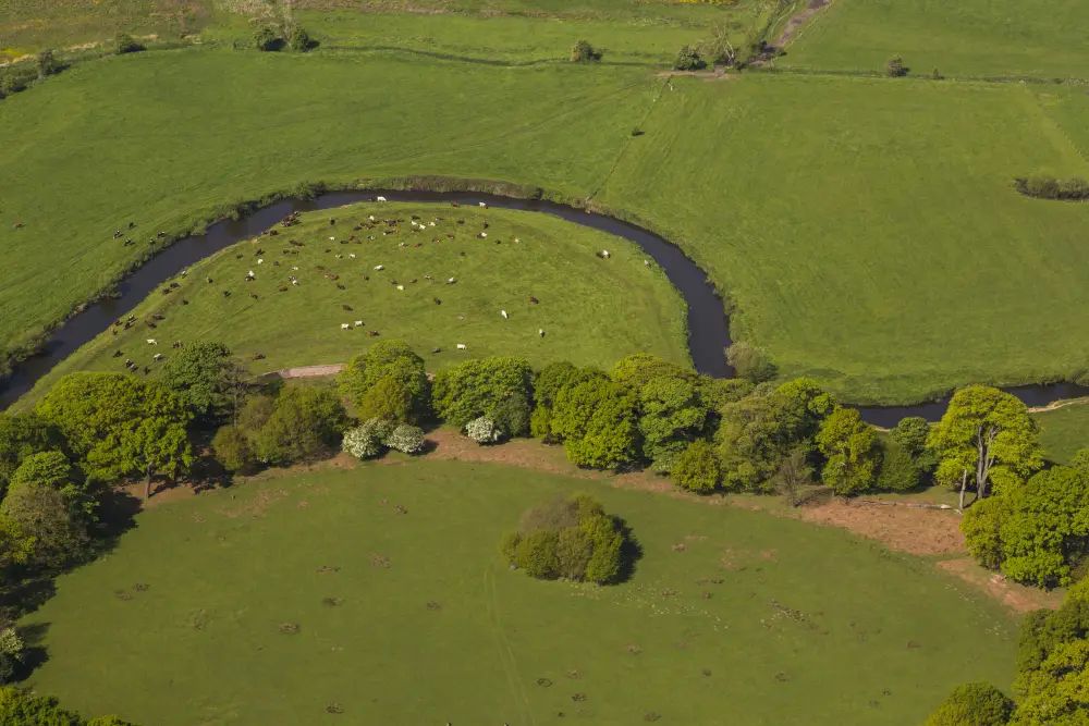 River Bollin to benefit from £10m regeneration project led by National Trust