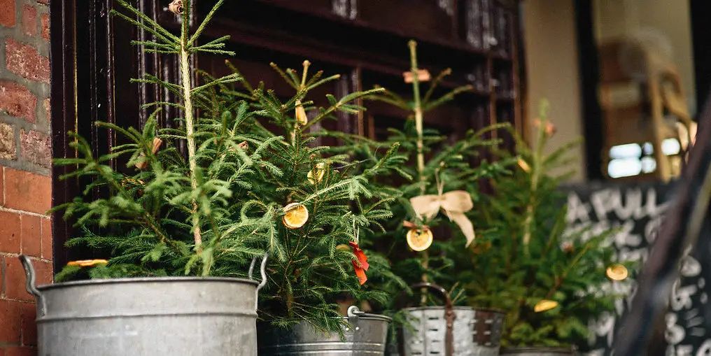 Altrincham’s Twilight Markets return this weekend with dozens of festive stalls, foodie treats and an extended opening time