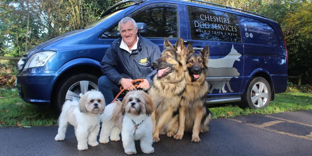 “Many get the wrong dog for their lifestyle”: Former Hale estate agent launches dog training and walking business