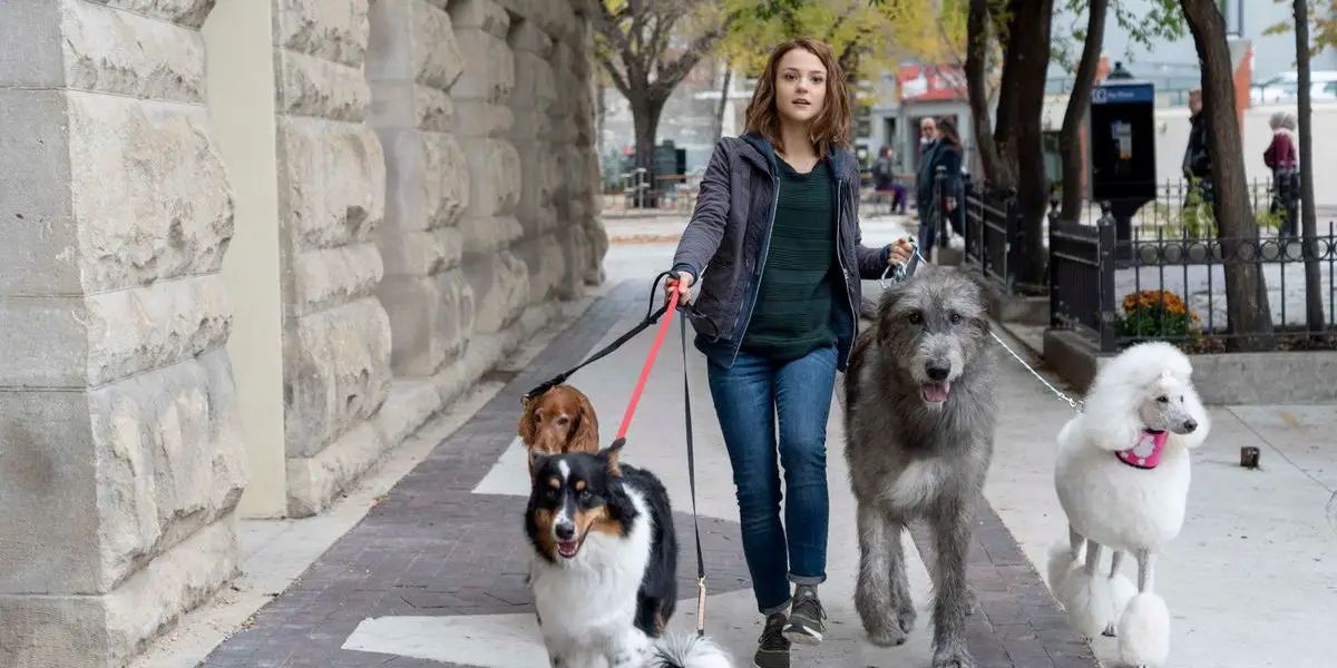 Films of the Fortnight: Hellboy, Greta, A Dog’s Journey and more