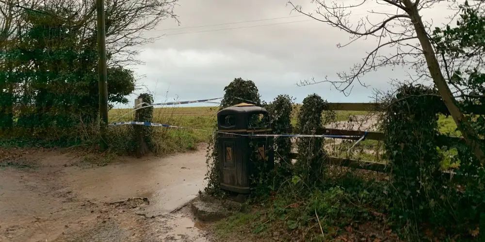 Man, 19, arrested on suspicion of murder after body found “in woods” close to Hale