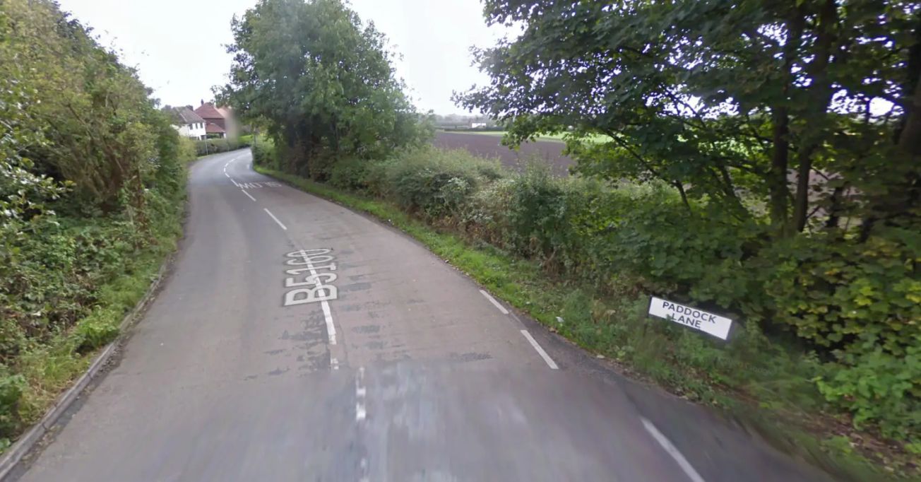 RSPCA in appeal for help after dead puppy found with burns by Dunham Massey road