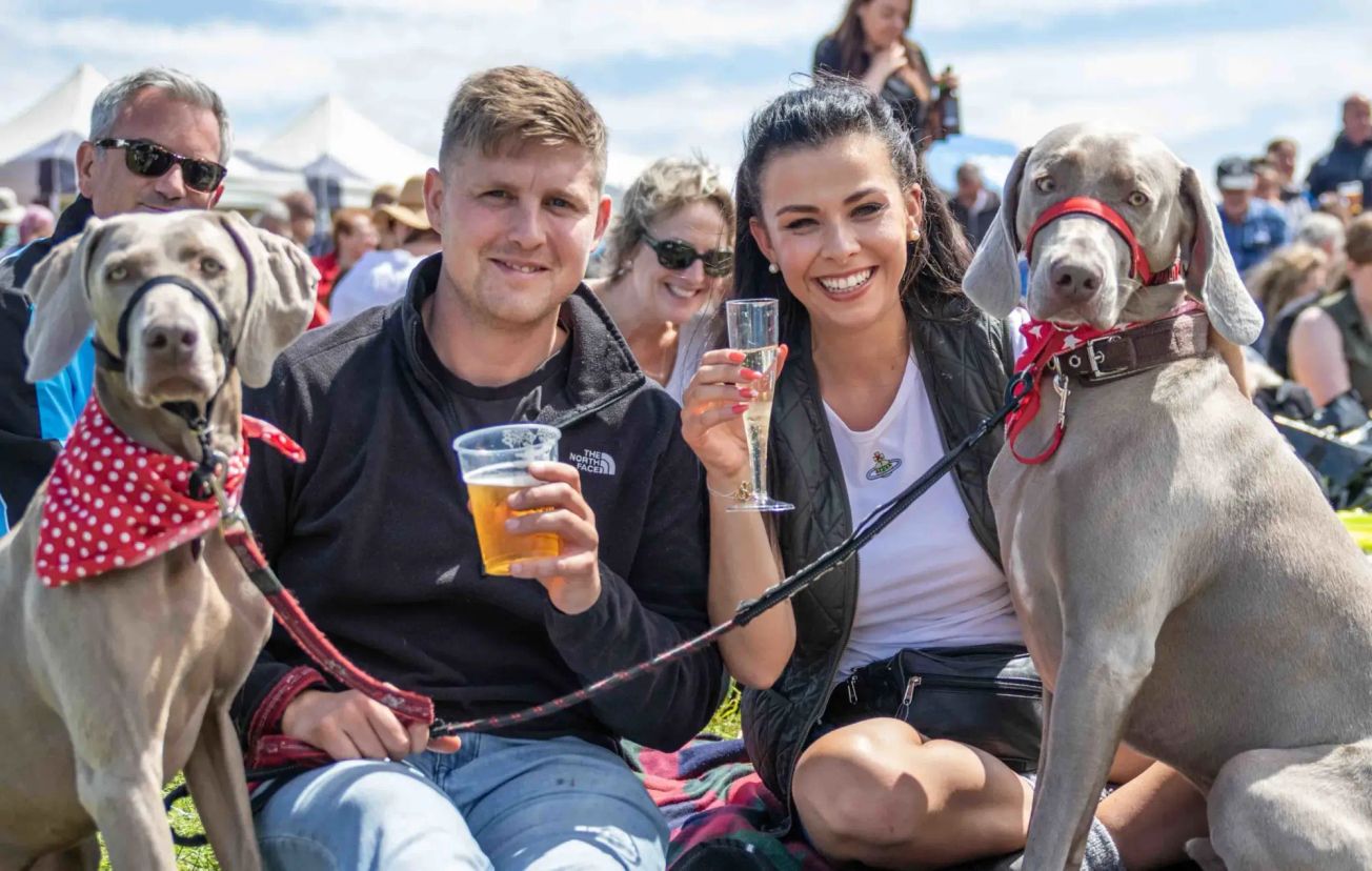 Canine-lovers of the North set to reunite as DogFest returns to Tatton Park next month