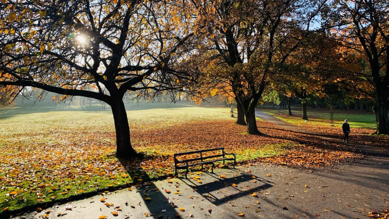 Three Altrincham parks win prestigious Green Flag award