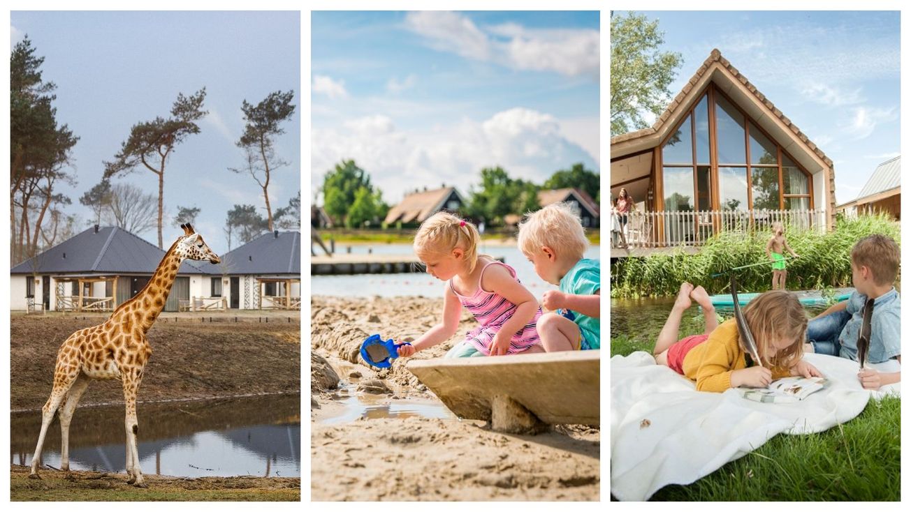 Dutch delight: Could this Altrincham travel firm find your new favourite family holiday?