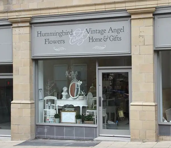 hummingbird1-300x260