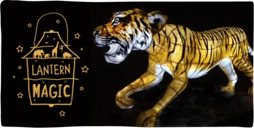 chester-zoo-christmas-lantern-magic
