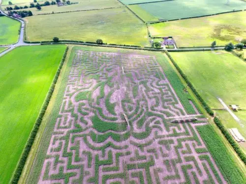 maze