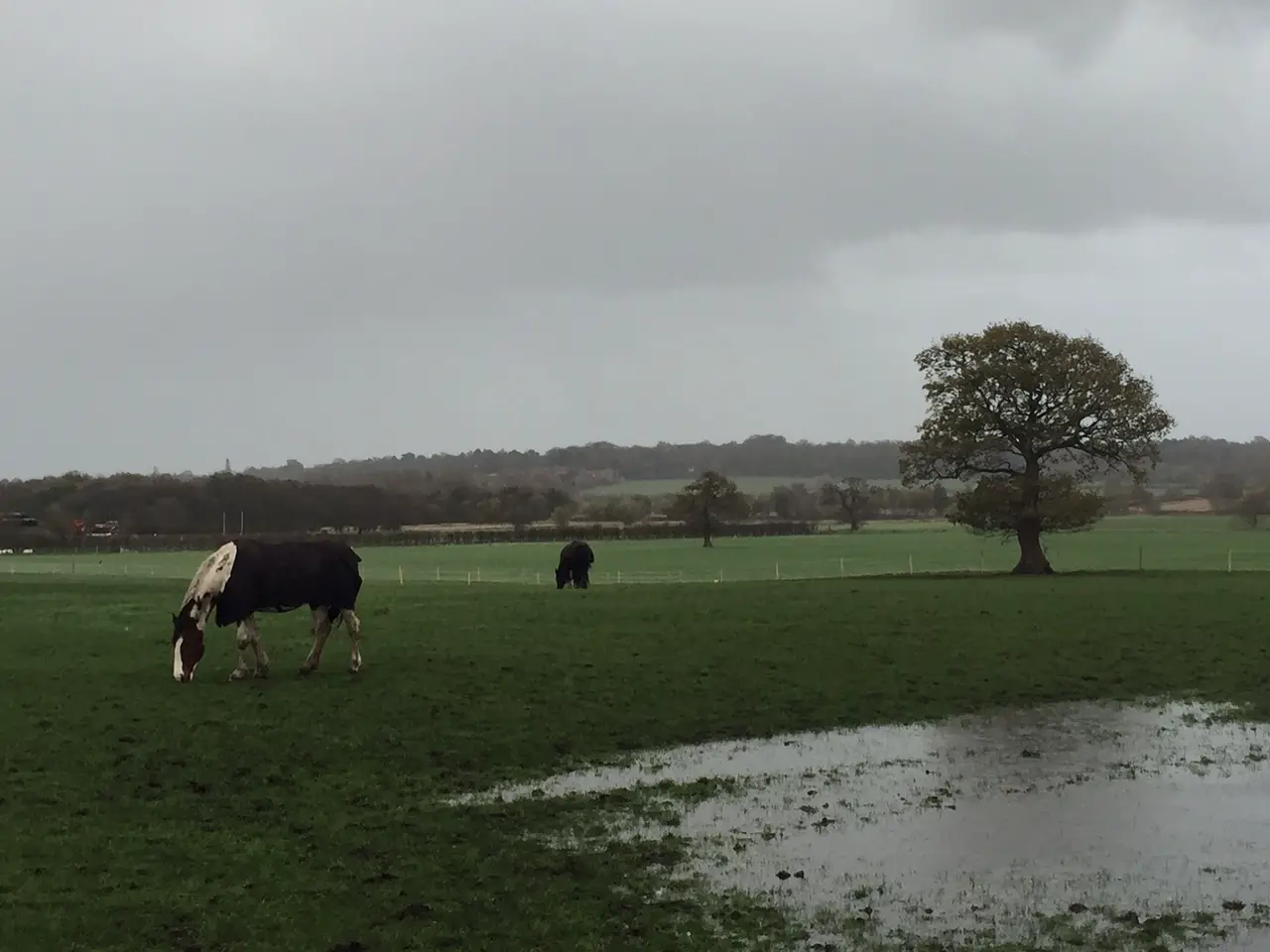 A field in Dunham, one of the areas covered by the licence